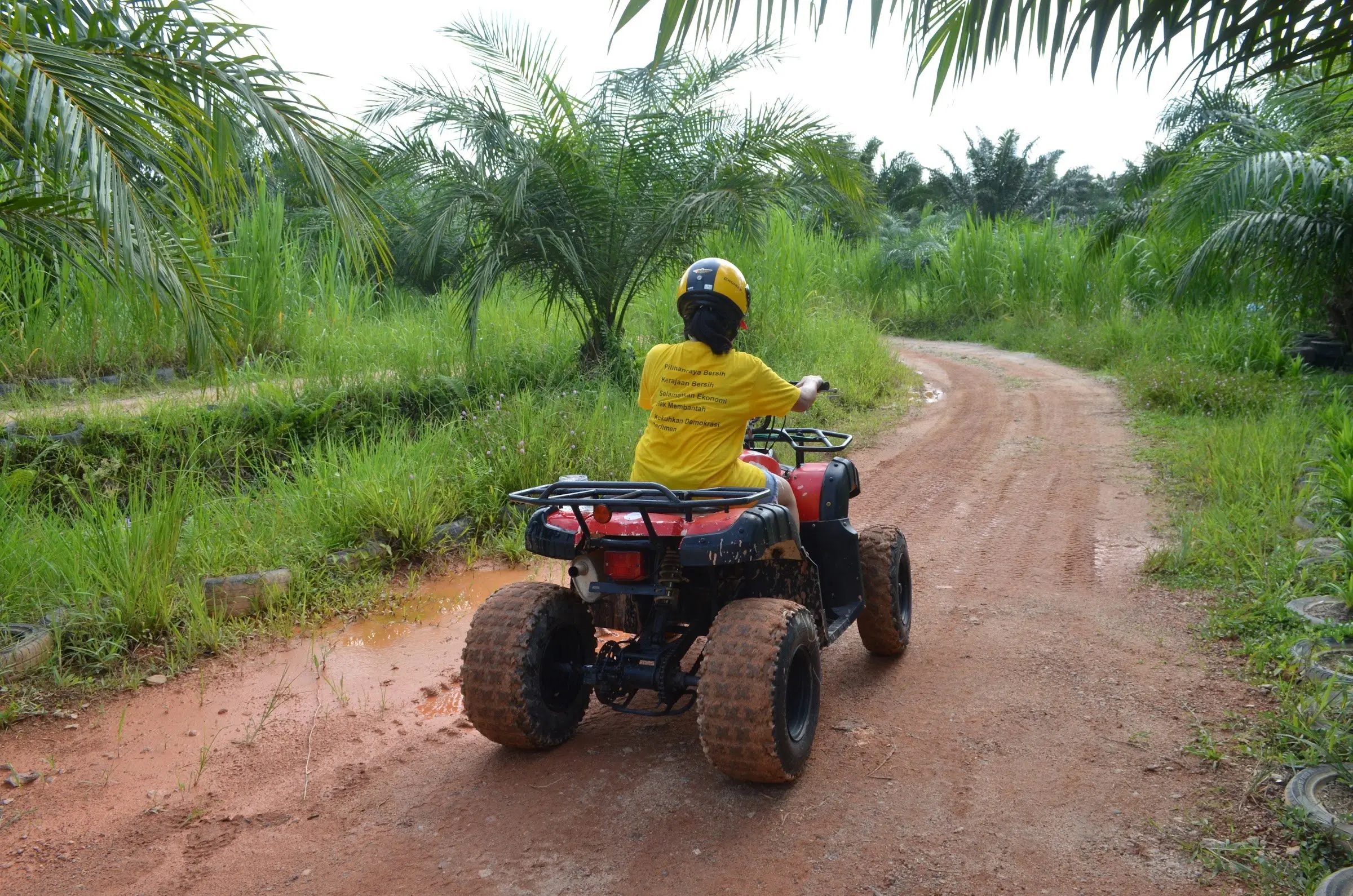A rider in a yellow shirt drives an ATV down a red-earth track between oil palms