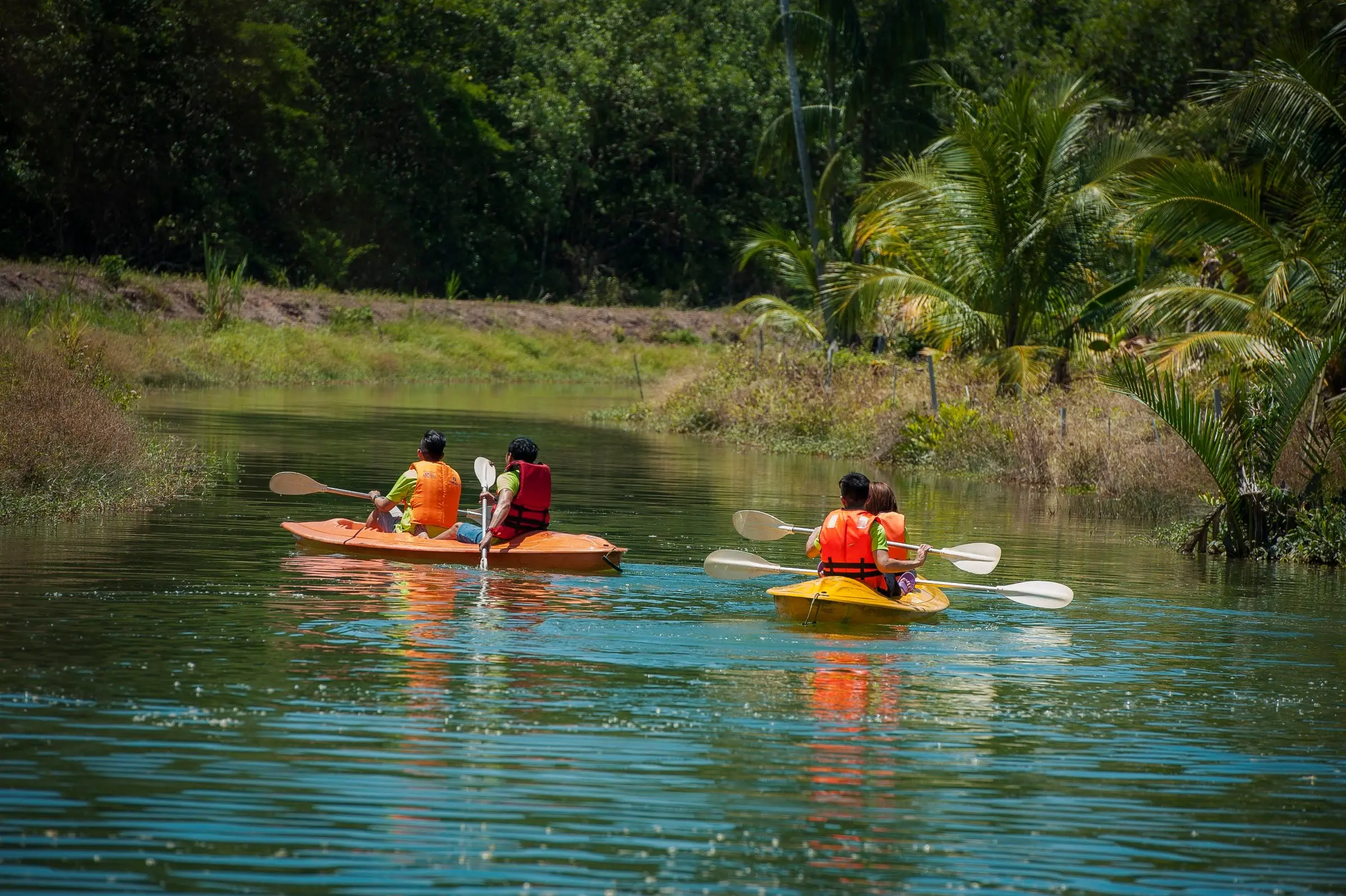 Two kayaks with paddlers in life jackets on a green lake fringed by coconut palms