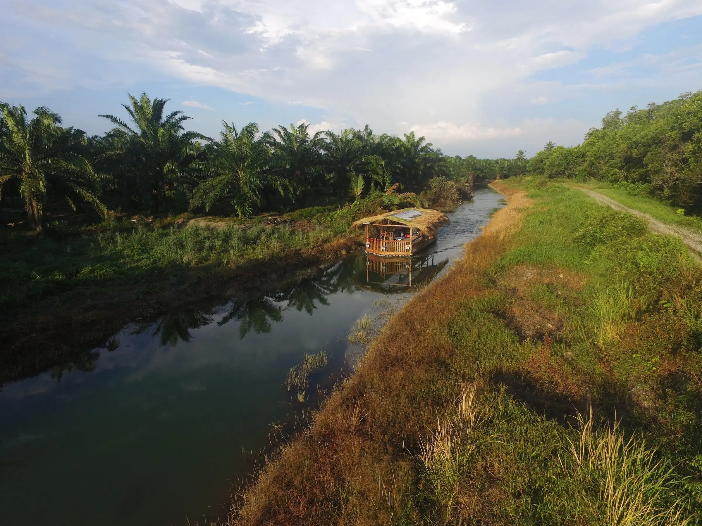 Aerial view of the thatched River Cruise boat moving along a canal between oil palms