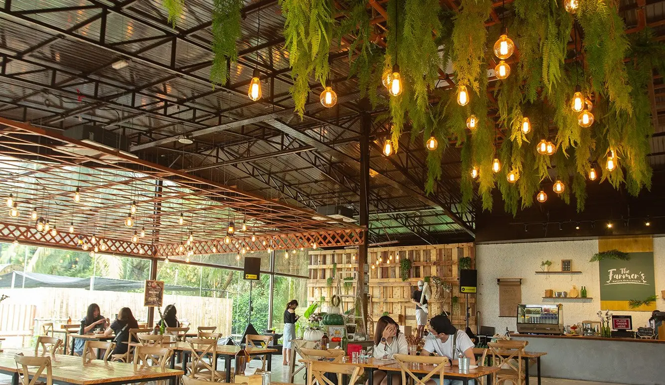 The Farmer's Cafe dining hall with timber lattice ceiling, hanging ferns and Edison bulbs