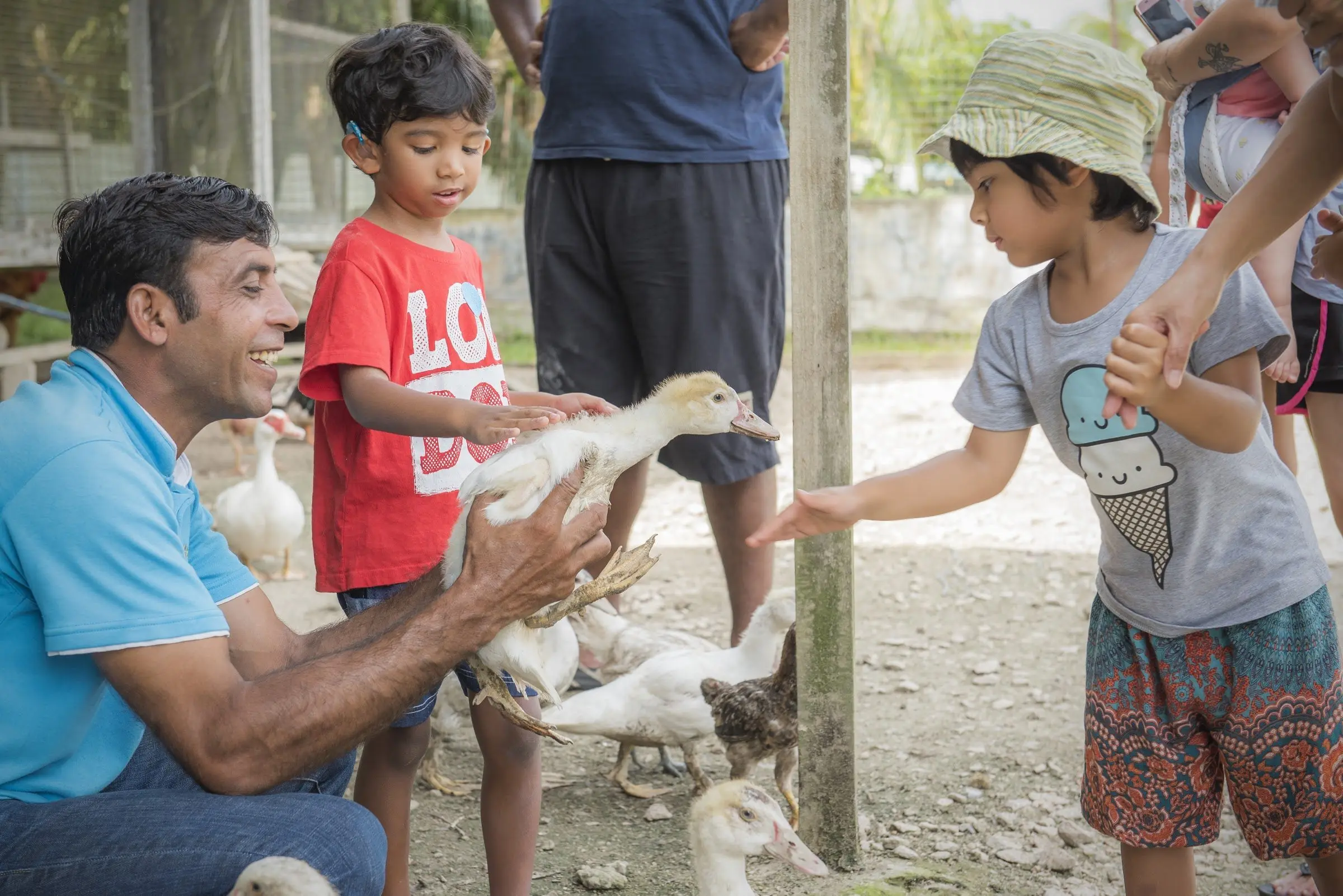 A keeper holds a white duck while children reach out to stroke it