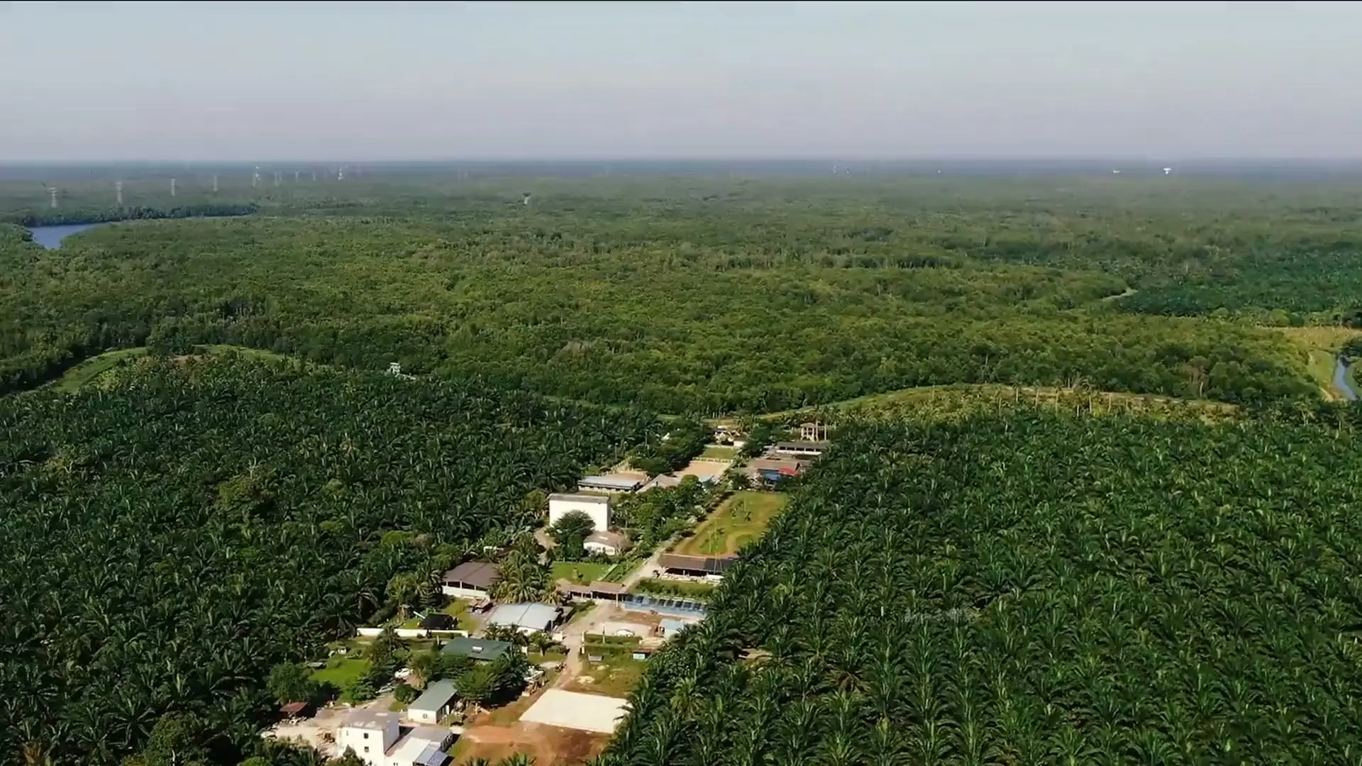 Drone view of the resort clearing surrounded by oil-palm estate, river on the horizon