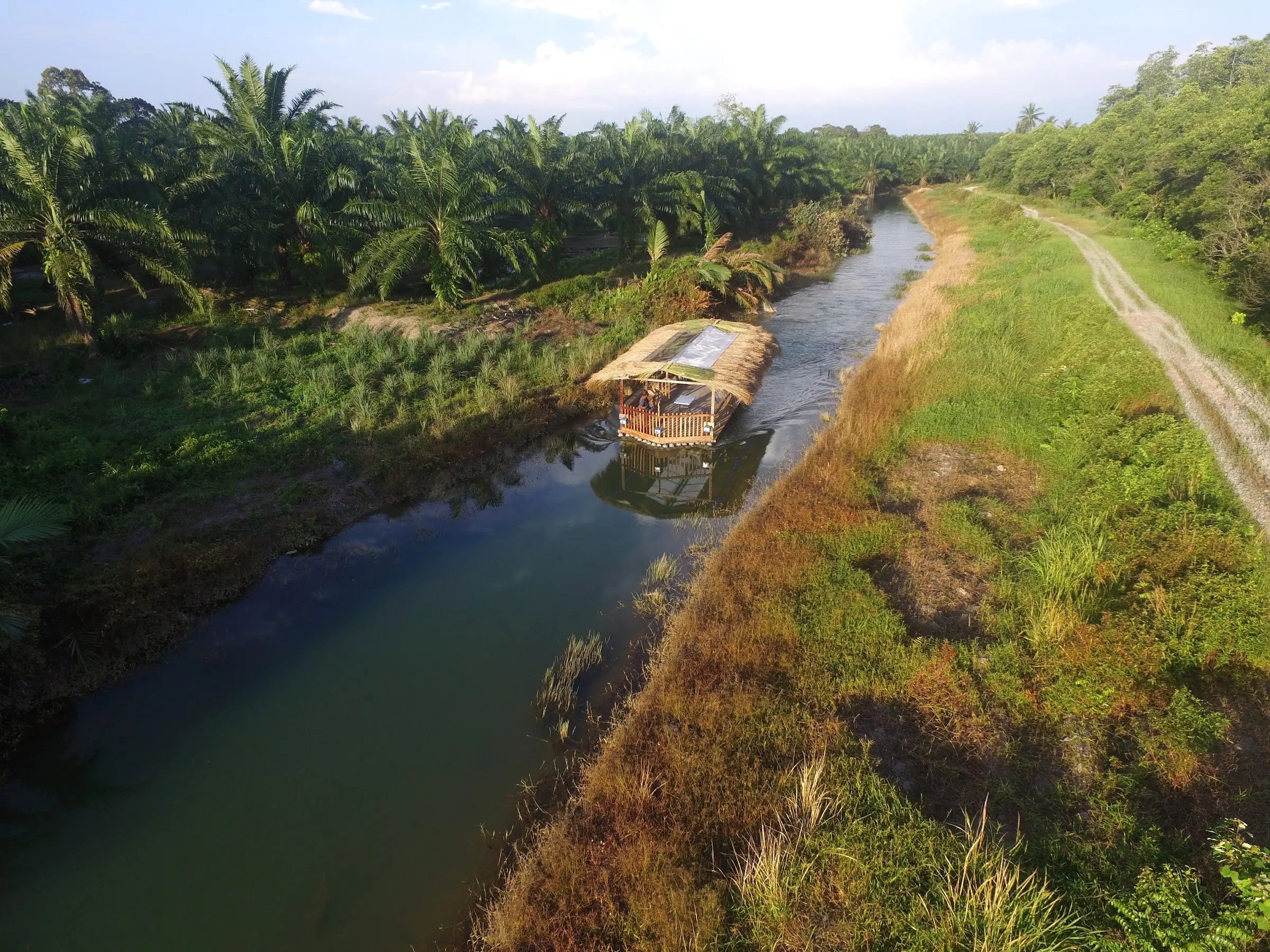 A thatched River Cruise boat glides along a palm-lined river, seen from above