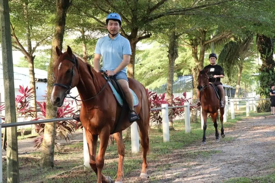 Guests in helmets ride horses along a tree-lined trail